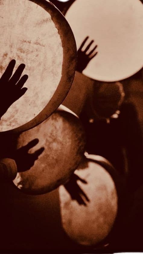 activités percussion